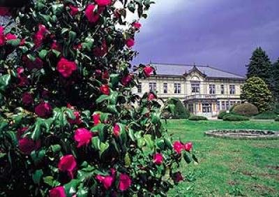 🏛️ 이와테대학 농학부 농업교육 자료관 (구 모리오카 고등농림학교 본관) 이미지 3